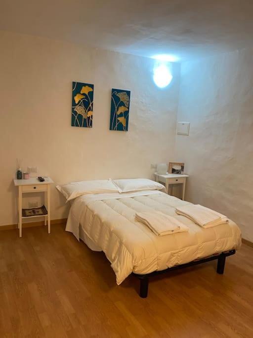 Gianfranco - City Center Apt Firenze Eksteriør bilde
