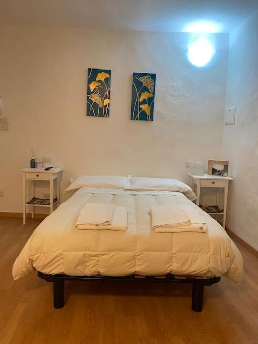 Gianfranco - City Center Apt Firenze Eksteriør bilde